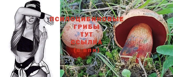 соль курить ск Михайловск