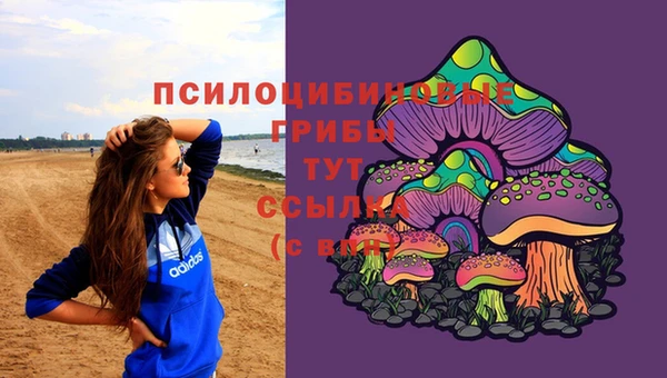 гашик Наволоки