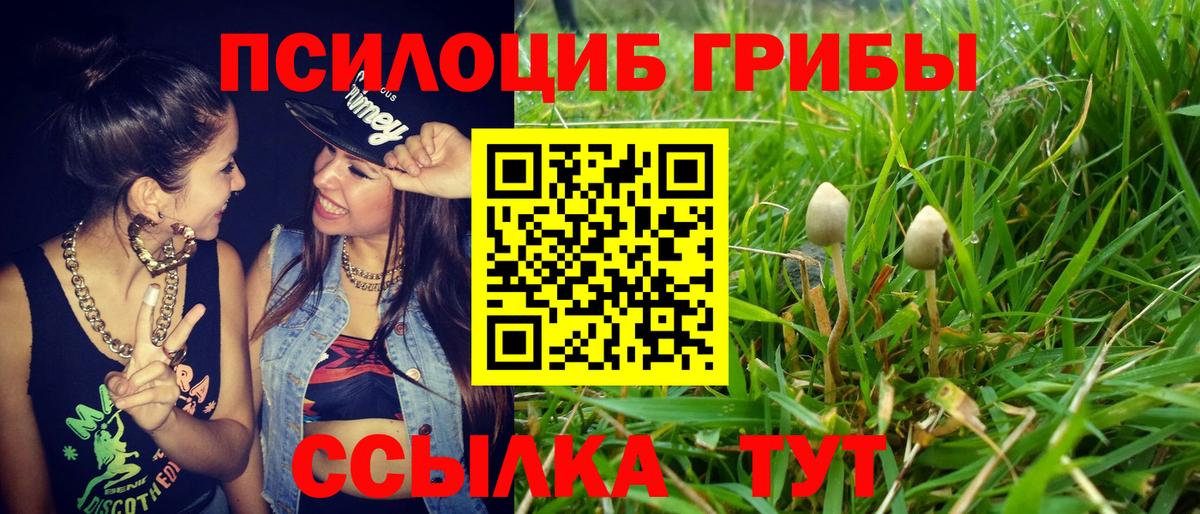 Галлюциногенные грибы мухоморы  Вход с VPN  Кимовск 