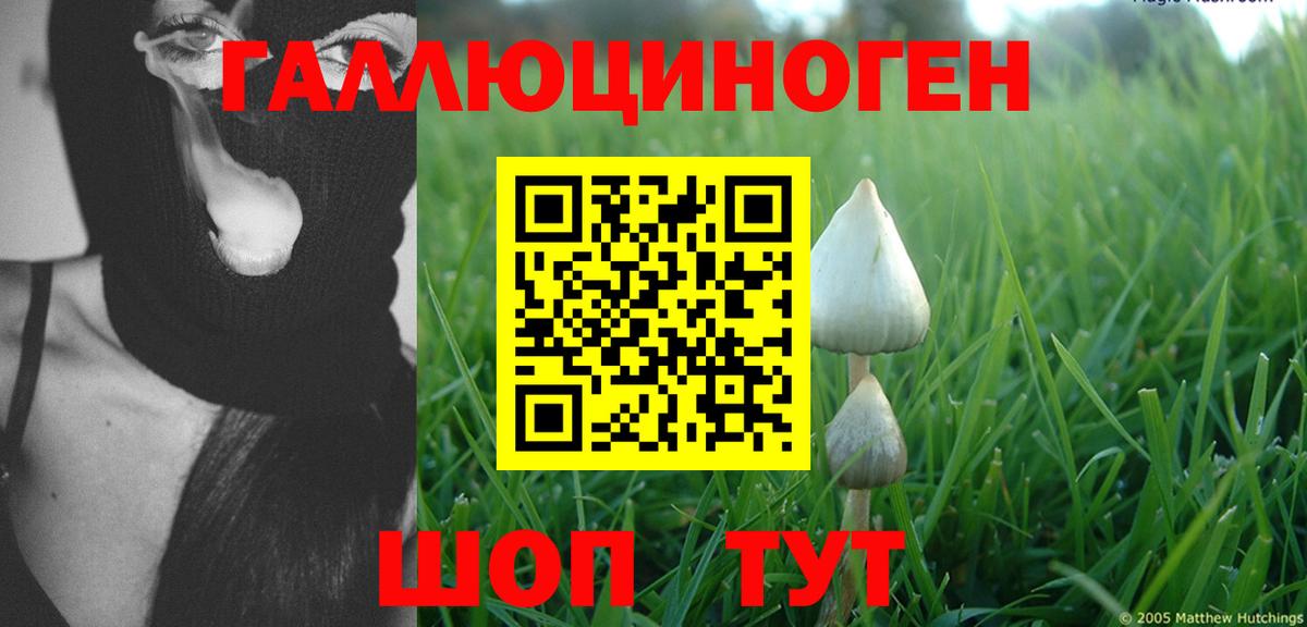 NBOMe  Марихуана  Мефедрон кристаллы  Кимовск  A PVP СК   Гашиш  КОКАИН  Амфетамин кристаллы  Codein  Вход с VPN 