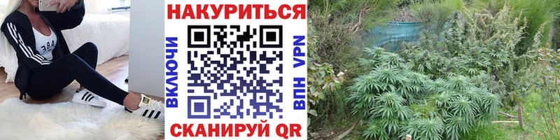 Каннабис тримм  Кимовск 